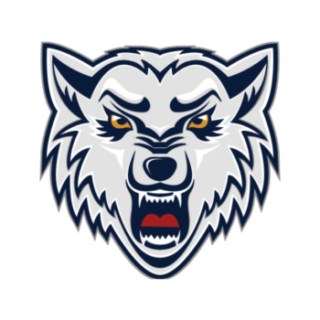 https://bkradotin.cz/wp-content/uploads/2024/07/Wolves-320x320.png