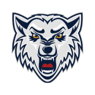 https://bkradotin.cz/wp-content/uploads/2025/06/Wolves-320x320.png